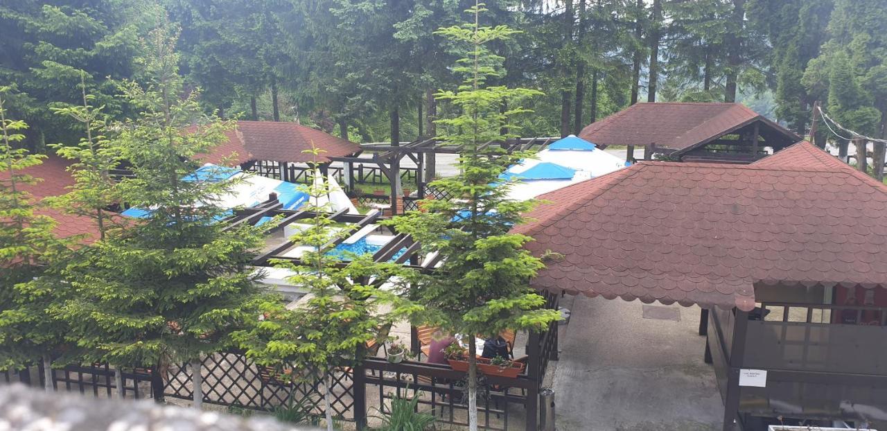 Hotel Bucegi Portile Regatului Paraul Rece Exteriér fotografie