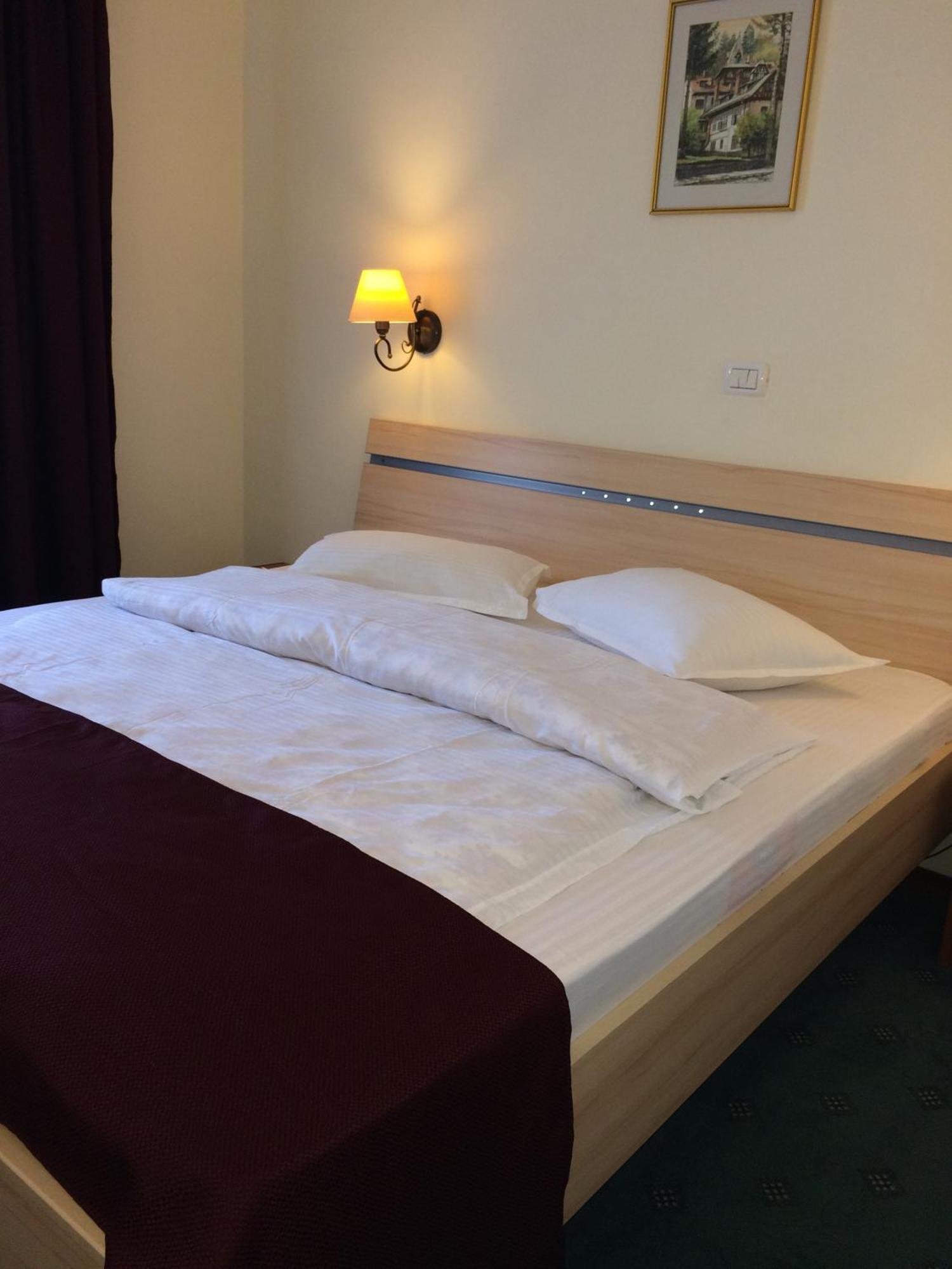 Hotel Bucegi Portile Regatului Paraul Rece Pokoj fotografie