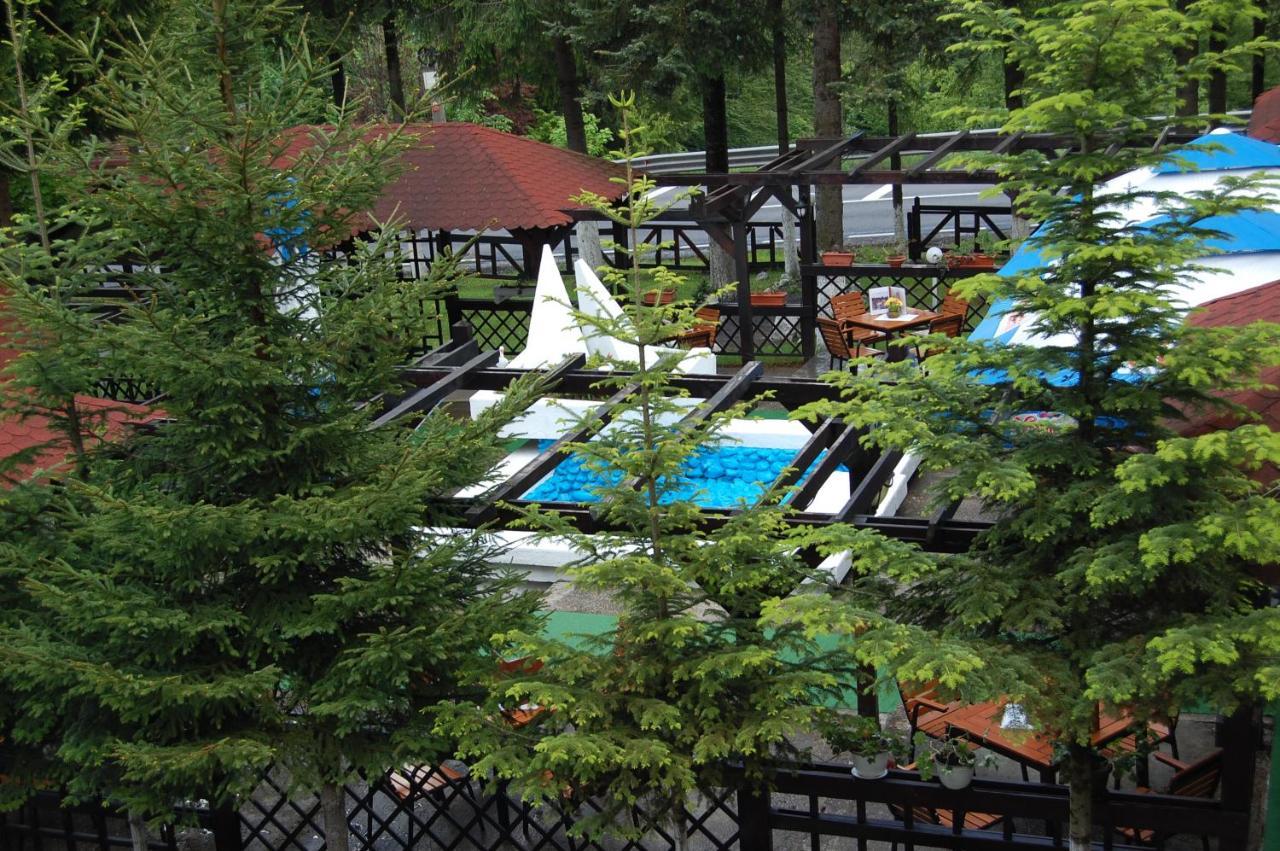 Hotel Bucegi Portile Regatului Paraul Rece Exteriér fotografie